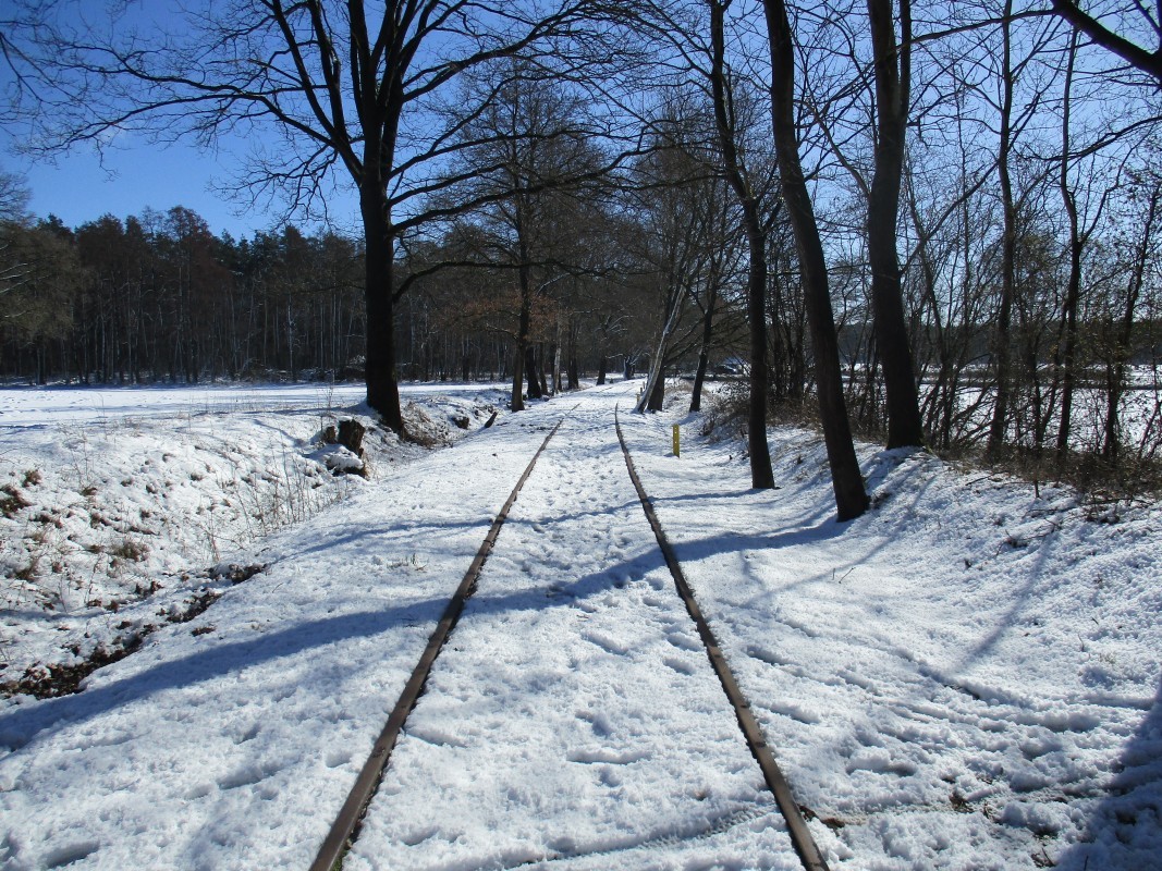 ZWNEGI11